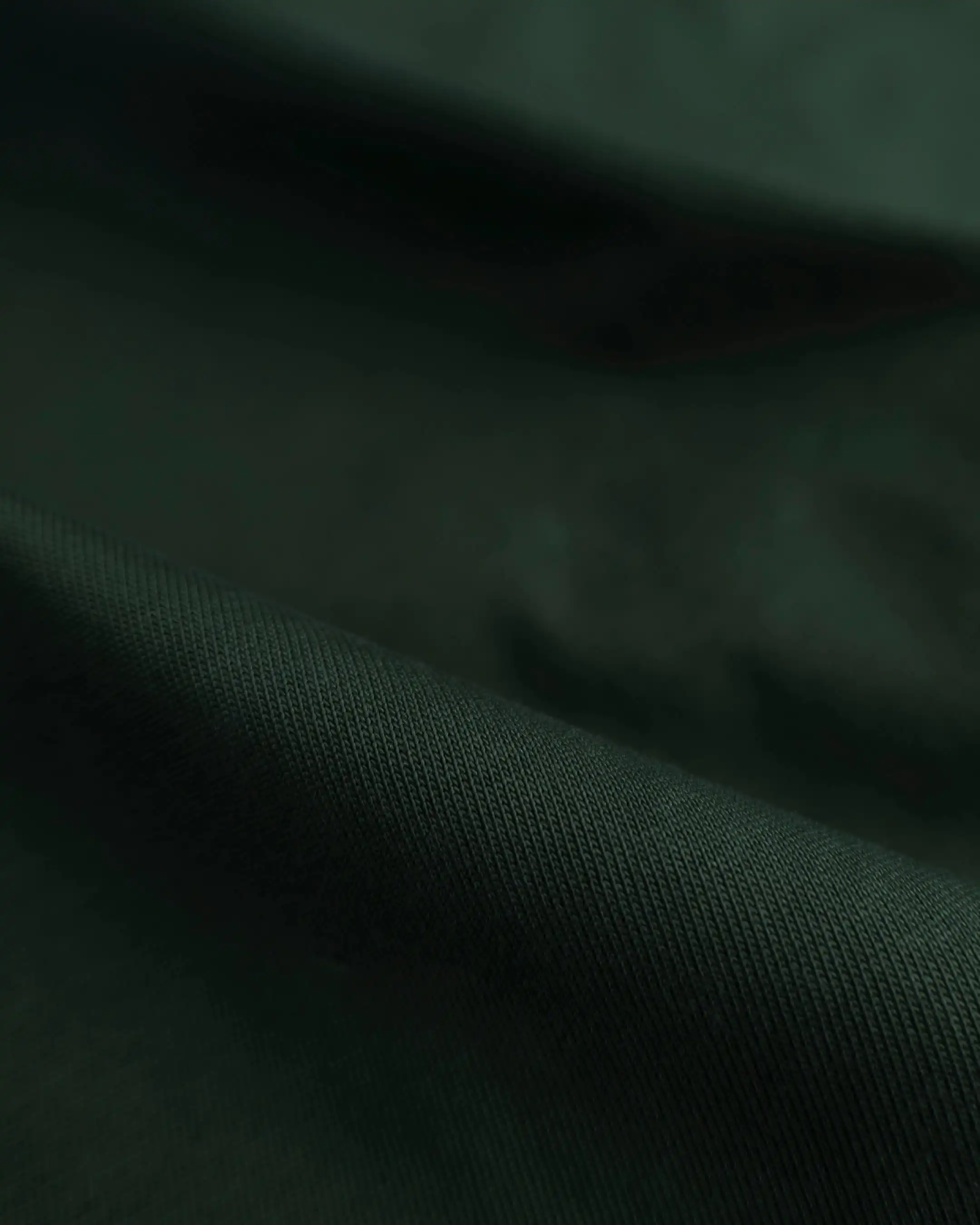 TEE SIGNATURE SAGE GREEN - Image 9
